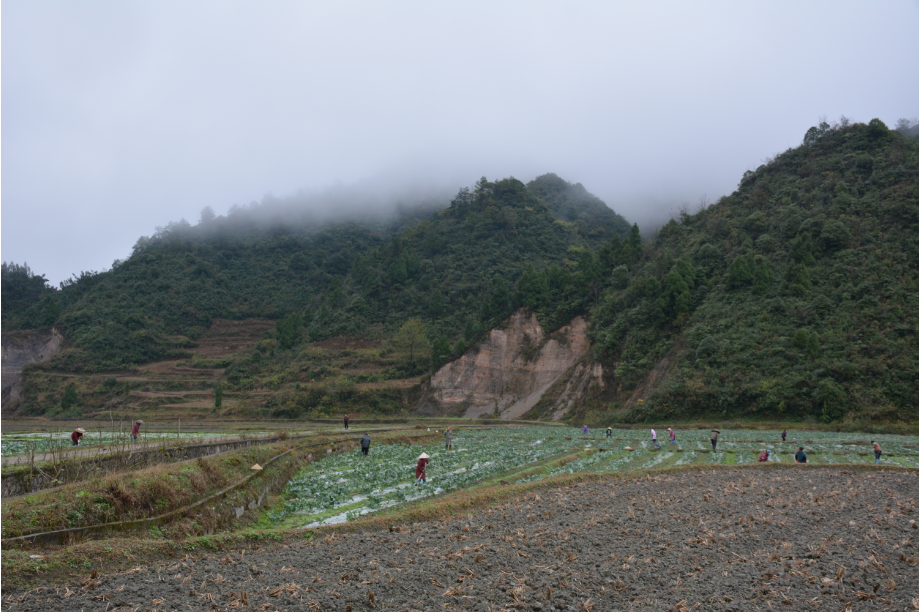 镇远县gdp_镇远县(3)